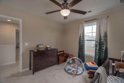 413 Blue Artesian Way Lexington SC 29073-9828