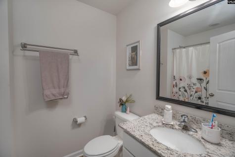 413 Blue Artesian Way Lexington SC 29073-9828
