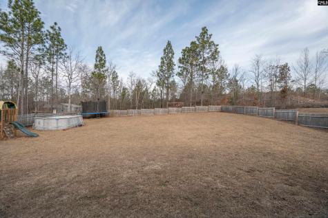 413 Blue Artesian Way Lexington SC 29073-9828