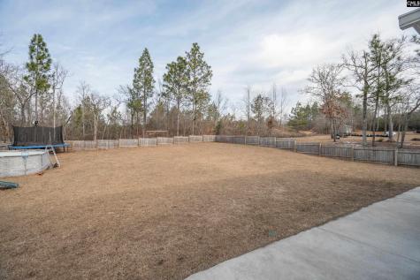 413 Blue Artesian Way Lexington SC 29073-9828