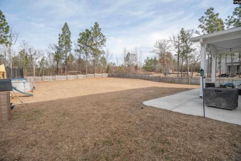 413 Blue Artesian Way Lexington SC 29073-9828