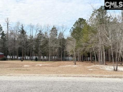 413 Blue Artesian Way Lexington SC 29073-9828