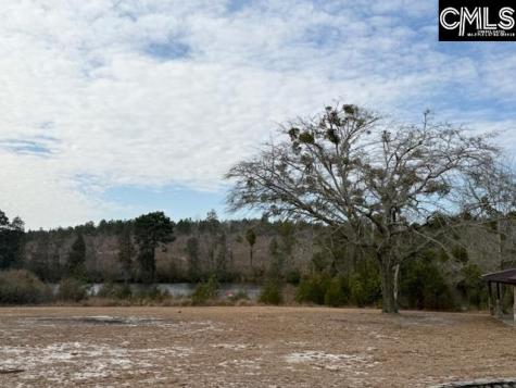413 Blue Artesian Way Lexington SC 29073-9828