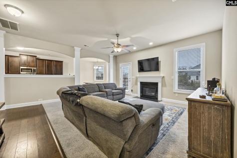 463 Bronze Drive Lexington SC 29072