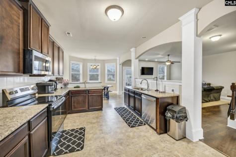 463 Bronze Drive Lexington SC 29072