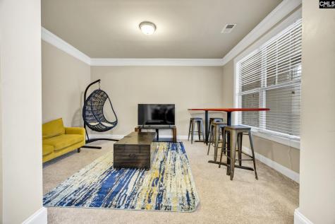 463 Bronze Drive Lexington SC 29072