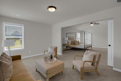 213 Goldenfluke Drive Lexington SC 29072