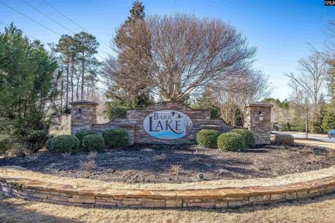 213 Goldenfluke Drive Lexington SC 29072