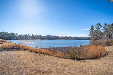 213 Goldenfluke Drive Lexington SC 29072