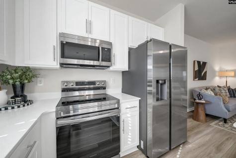 206 Carillo Drive Columbia SC 29223