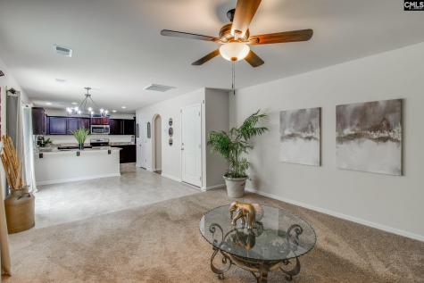 72 Black Kettle Court Blythewood SC 29016