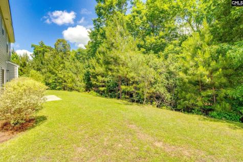 72 Black Kettle Court Blythewood SC 29016