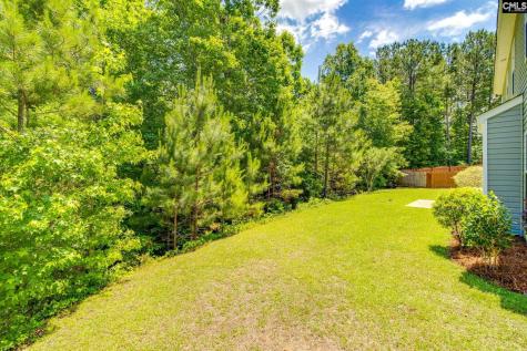 72 Black Kettle Court Blythewood SC 29016