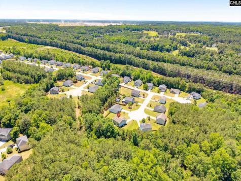 72 Black Kettle Court Blythewood SC 29016