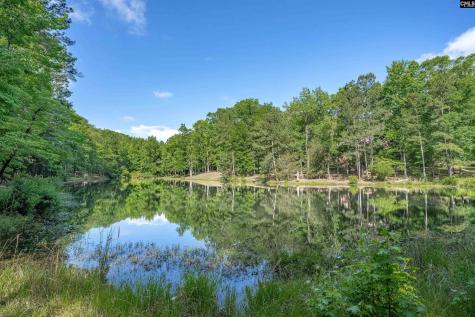 217 Ashley Oaks Drive Blythewood SC 29016