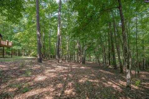 217 Ashley Oaks Drive Blythewood SC 29016