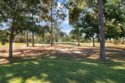 15 Valkyrie Circle Columbia SC 29229