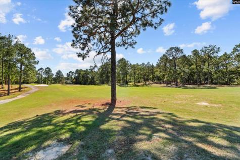 15 Valkyrie Circle Columbia SC 29229