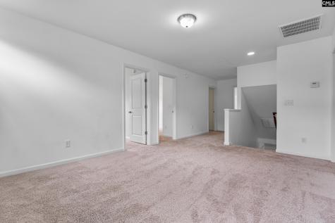 40 Pear Tree Loop Elgin SC 29045
