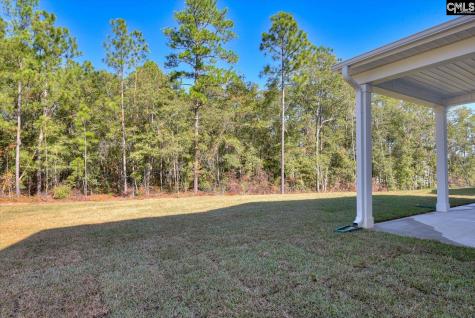 721 Feldspar Court Chapin SC 29036