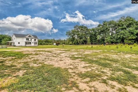 172 Eugene Neese Lane Swansea SC 29160-9152