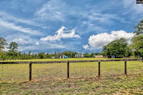 172 Eugene Neese Lane Swansea SC 29160-9152