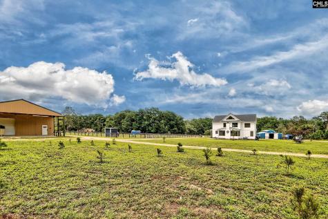 172 Eugene Neese Lane Swansea SC 29160-9152