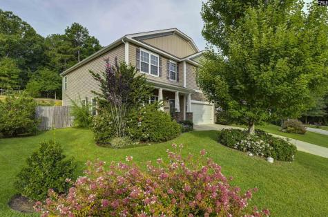 608 Muldrow Lane Chapin SC 29036