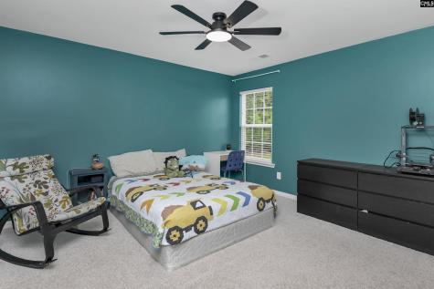 608 Muldrow Lane Chapin SC 29036