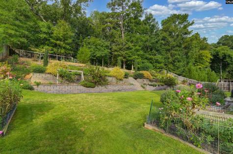 608 Muldrow Lane Chapin SC 29036