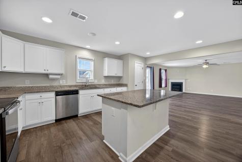 244 Savannah Hills Drive Lexington SC 29073