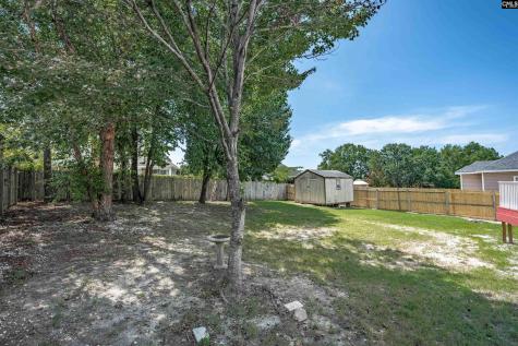 17 Lee Ridge Court Columbia SC 29229