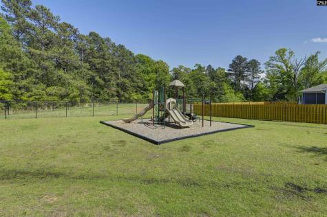 154 Wahoo Circle Irmo SC 29063