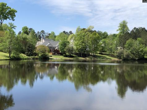 12 Persimmon Wood Court Irmo SC 29063