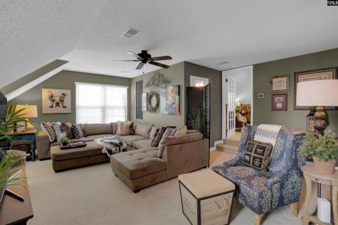 12 Persimmon Wood Court Irmo SC 29063