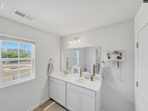 684 Dundee Court Lexington SC 29073-9799