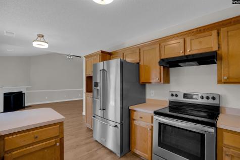 15 Walnut Grove Way Irmo SC 29063