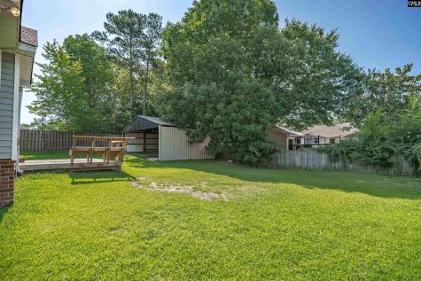 15 Walnut Grove Way Irmo SC 29063