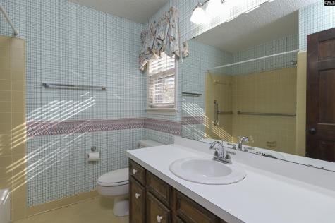 73 Olde Springs Road Columbia SC 29223