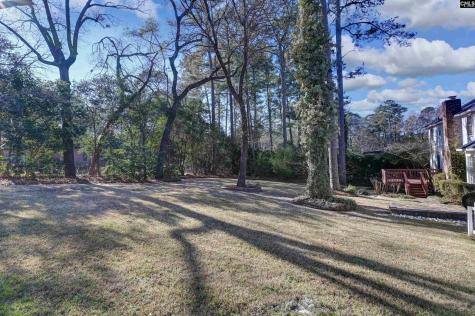 73 Olde Springs Road Columbia SC 29223