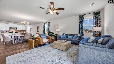 488 Leathertree Lane Blythewood SC 29016