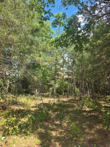 13824 Newberry Road Blair SC 29015-9457