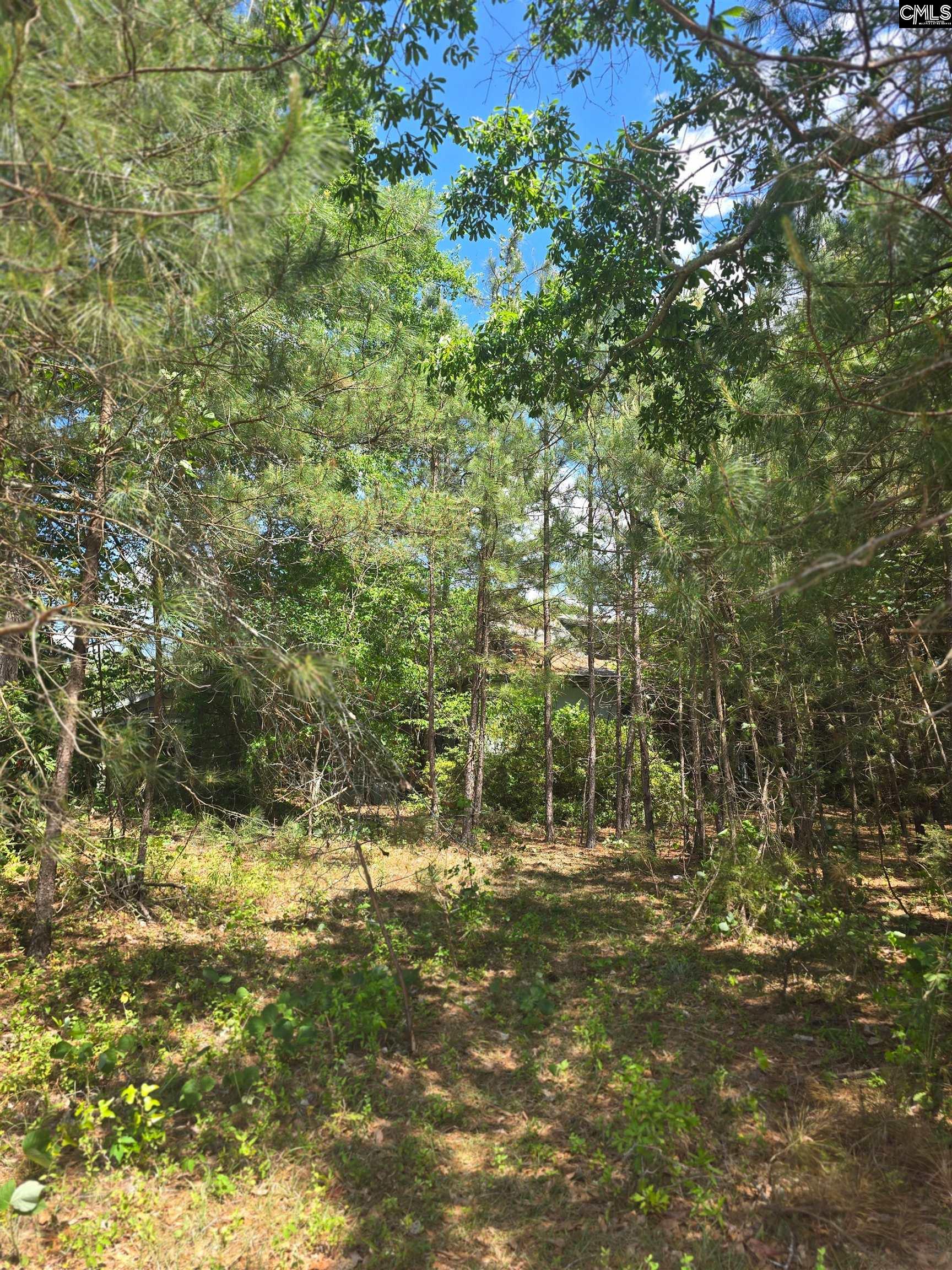 13824 Newberry Road Blair SC 29015-9457