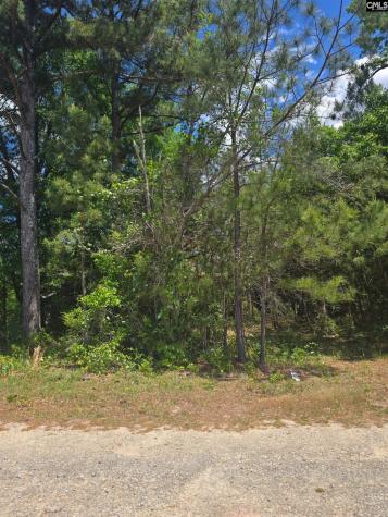 13824 Newberry Road Blair SC 29015-9457
