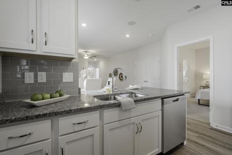278 Brando Way Columbia SC 29223