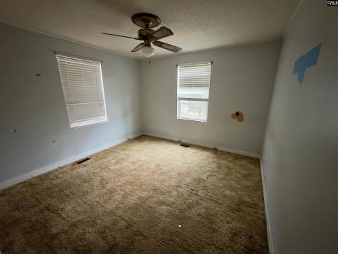 317 Ferrell Drive Columbia SC 29204