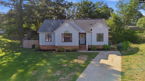 216 Puller Court Lexington SC 29072