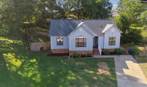 216 Puller Court Lexington SC 29072