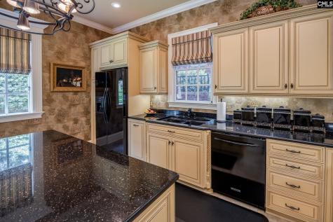 120 Pilgrim Point Lexington SC 29072