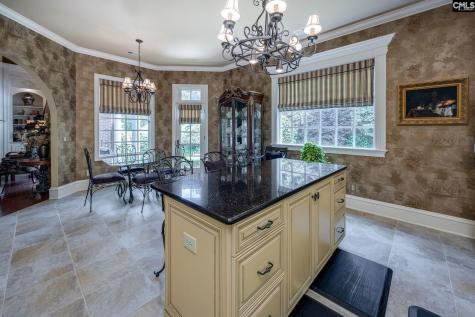 120 Pilgrim Point Lexington SC 29072